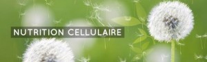 Nutrition cellulaire