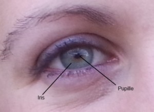 Couleur de l'iris