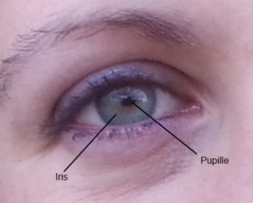 Couleur de l'iris